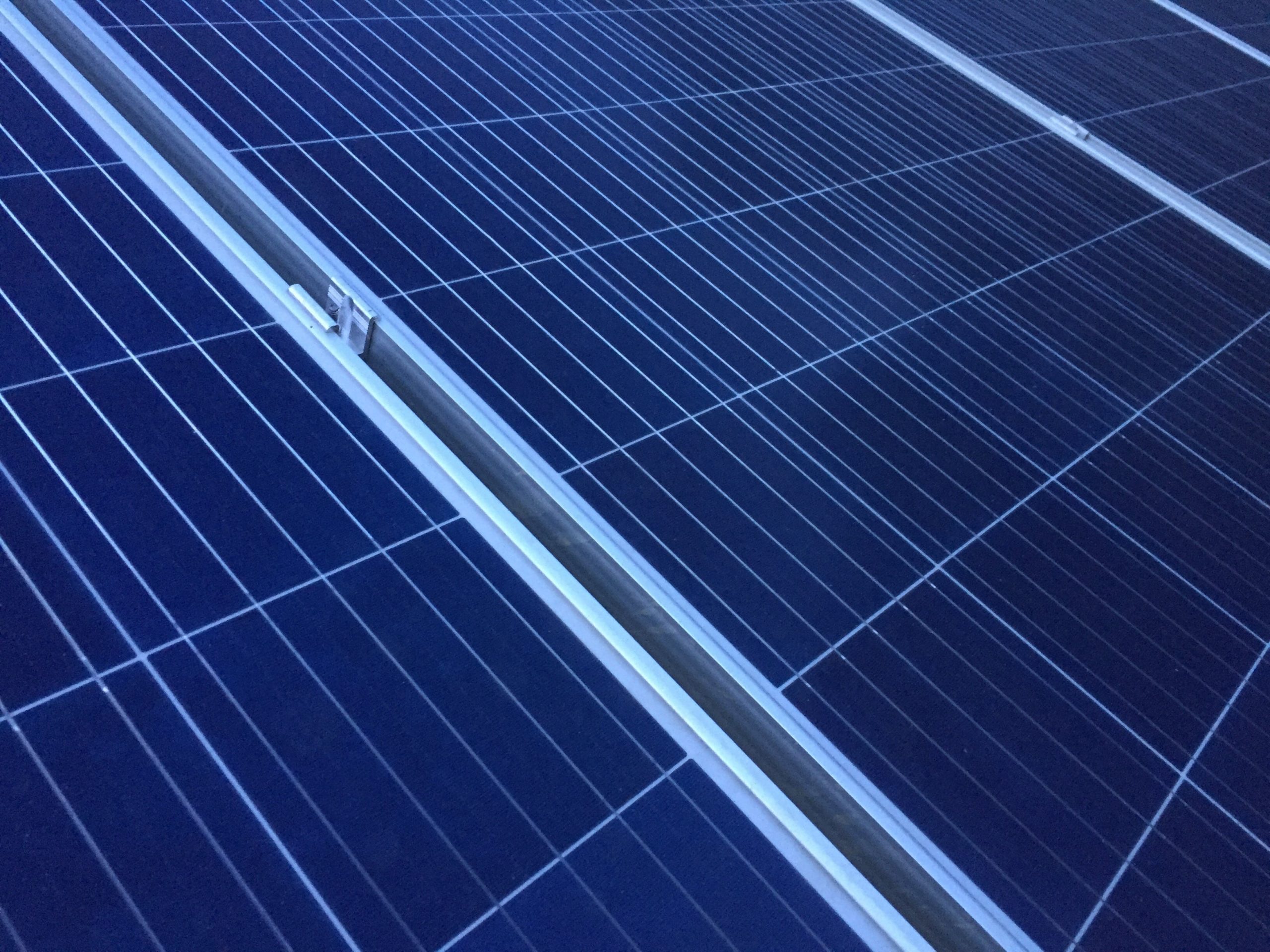 ¿Son rentables las placas solares para autoconsumo en 2023?